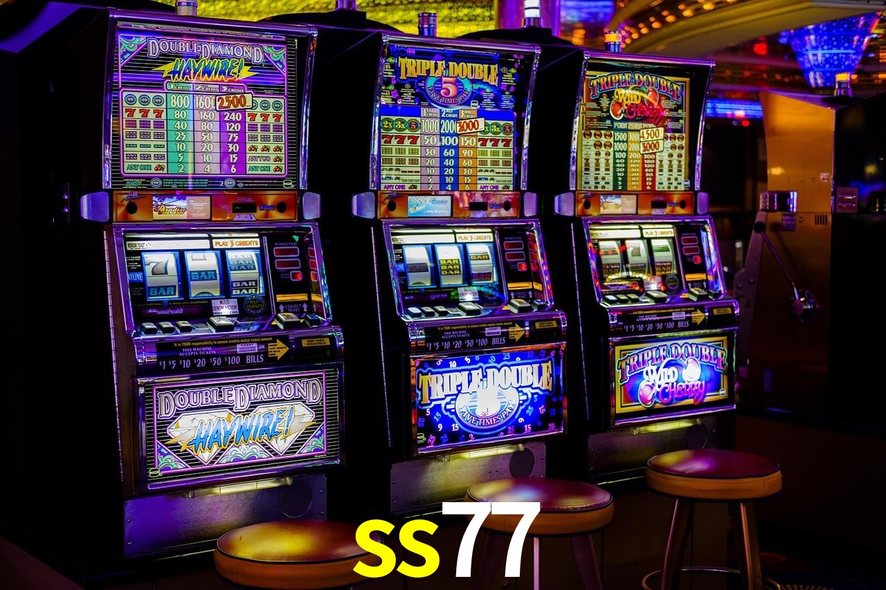 Sports Statistics ss77